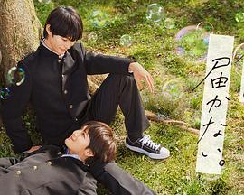 丰都什么是seo推广